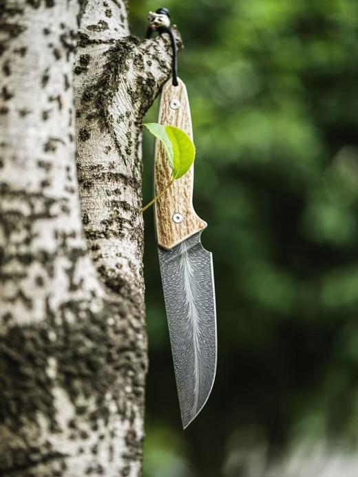 【福利】三希堂  现代刀系列  手锻羽毛小直 未开刃 商品图1