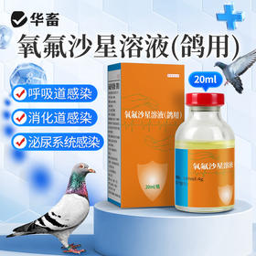 华畜氧氟沙星溶液兽药鸽子药鸽用水便呼噜细菌水便呼吸道消化道感染