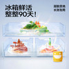 【3个】乐乐桉冰箱除味剂 商品缩略图5