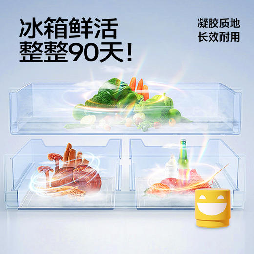 【3个】乐乐桉冰箱除味剂 商品图5