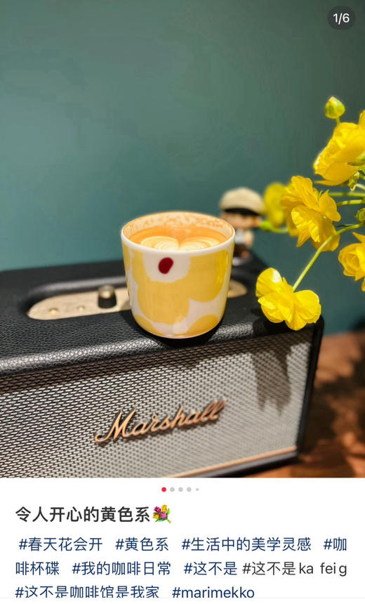 芬兰Marimekk*o 日本限定 unikko 游霓可 手握对杯 商品图5