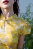 【门店同款】ENJOY夏季云敛-“鸾衿折桂”黄金蝶舞旗袍裙 162896903 商品缩略图4