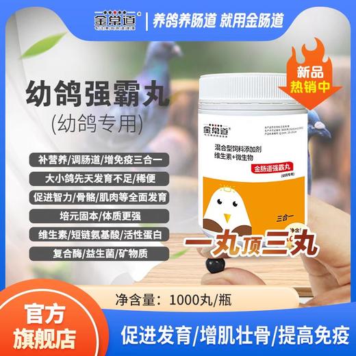 金肠道【幼鸽强霸丸】育雏丸补体营养钙强壮骨骼促进肌肉发育免疫益生菌 商品图0