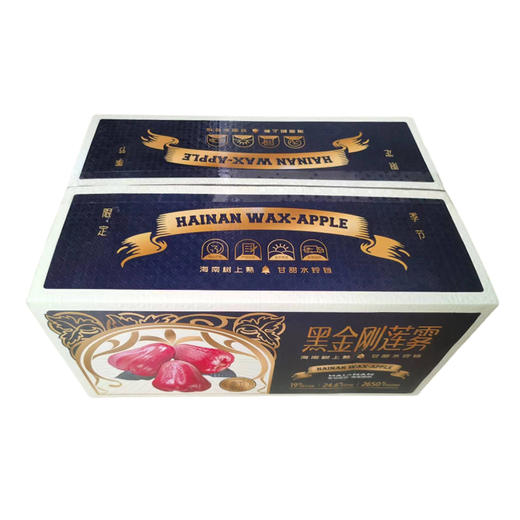 海南黑金刚莲雾  单果70-100g  4斤装 商品图4