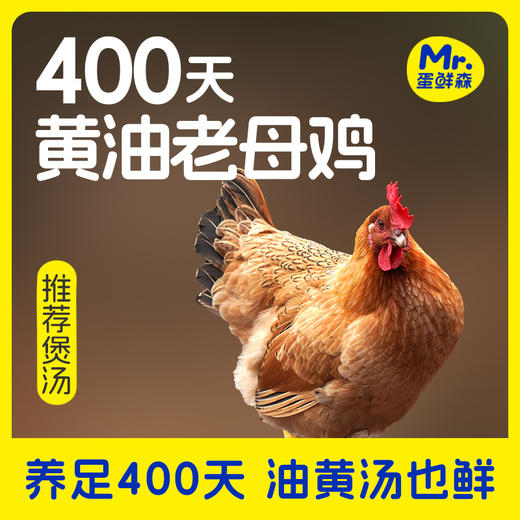 400天黄油老母鸡·3只装 商品图8