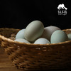 生态鸭蛋（从化） | 合作生产 * Eco-duck egg | Partner Production 商品缩略图2