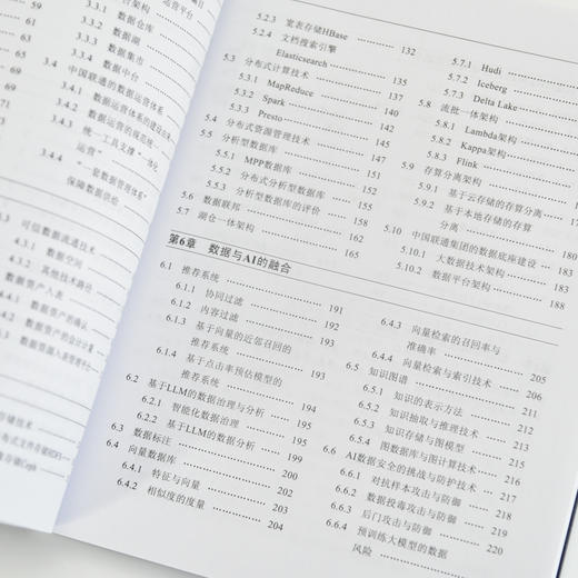 AI时代的数据价值创造：从数据底座到大模型应用落地 人工智能大数据计算机数据管理数据分析书籍 商品图4