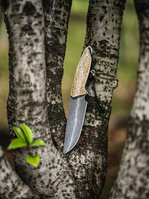 【福利】三希堂  现代刀系列  手锻羽毛小直 未开刃 商品图4