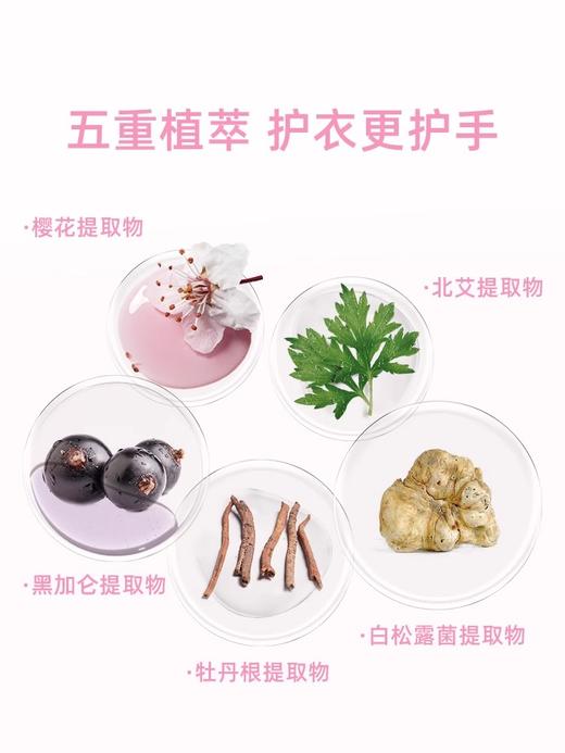 wickle 抑菌内衣护理洗衣液 儿童/成人内衣裤洗衣液专用 商品图4