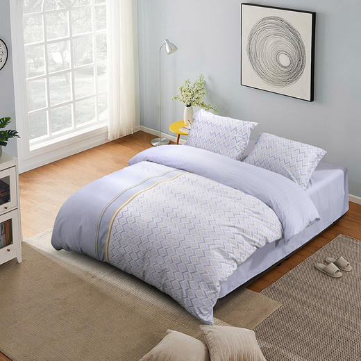 水星家纺 DH奕然-S04(抗菌)四件套 商品图9