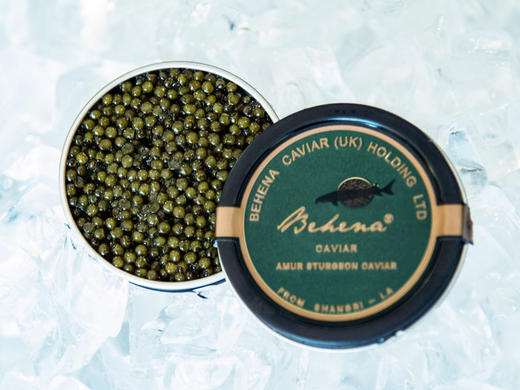 贝赫纳施氏鲟鱼子酱（成熟采卵期7-10年） 商品图0