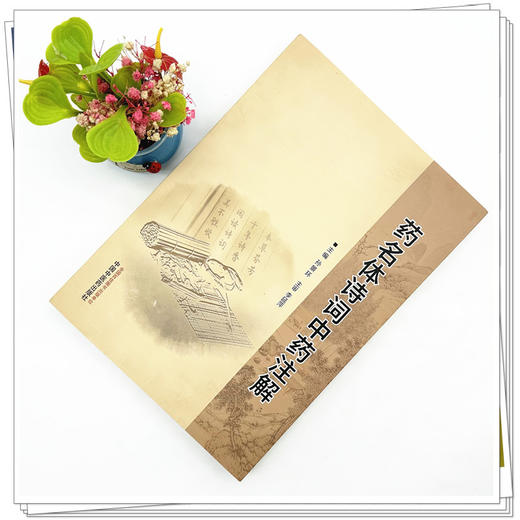 药名体诗词中药注解 孙景环 主编 中国中医药出版社 商品图1