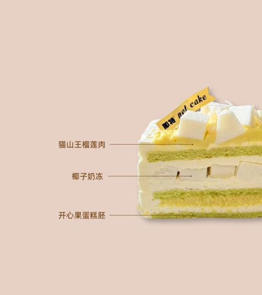 「4寸」猫山王 商品图1