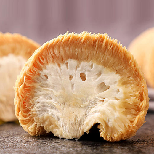 广西河池东兰县阿比该猴头菇120g*2袋 商品图3