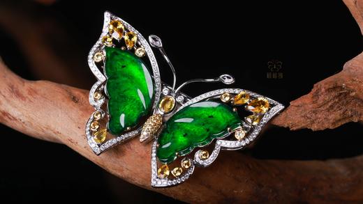 【福叠翩翩】翡翠蝴蝶胸针坠 XZ12503029 商品图5