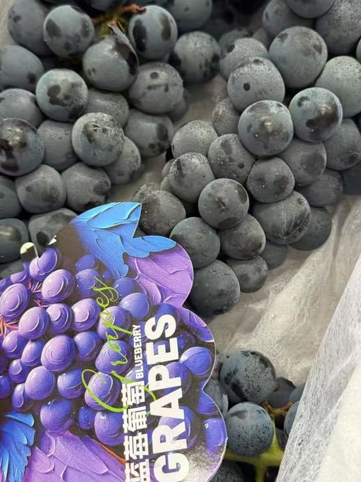 蓝莓葡萄（2.5-3斤） 商品图1