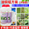 韩国SK绿颖代森锰锌铜制剂油铜锰方案进口高含量99%矿物油杀虫剂 商品缩略图4