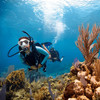仙本那漫潜潜水中心潜水课程考证+日游 商品缩略图3