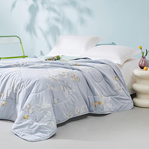 
【多样屋专柜】罗莱全棉可水洗空调被 180*200cm 商品图3