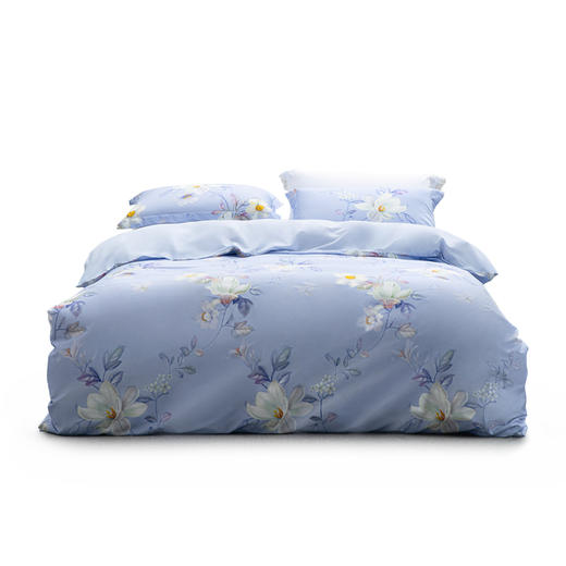 水星家纺 DH花语风吟-S04(抗菌)四件套 商品图0