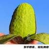 即食牛油果#高品质树熟牛油果，收到即食不等待，丝滑浓香无黑丝，赠品芥辣酱油+酸梅粉 商品缩略图0