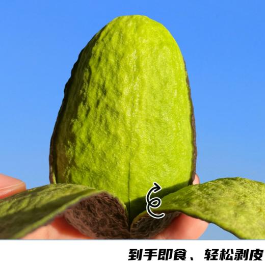 即食牛油果#高品质树熟牛油果，收到即食不等待，丝滑浓香无黑丝，赠品芥辣酱油+酸梅粉 商品图0