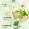 【私处净味】私处护理私密水润洗护液温和清洗去味香氛草本慕斯 200ml 商品缩略图2