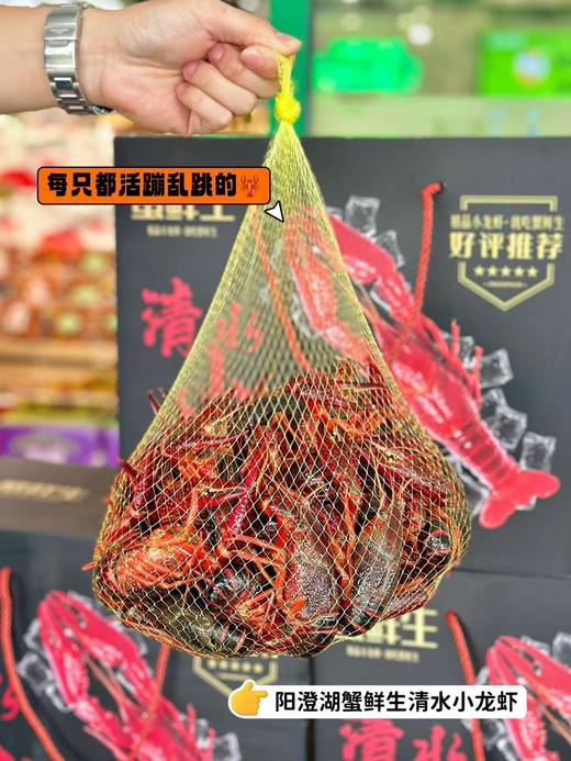 【阳澄湖蟹鲜生清水小龙虾】 商品图3