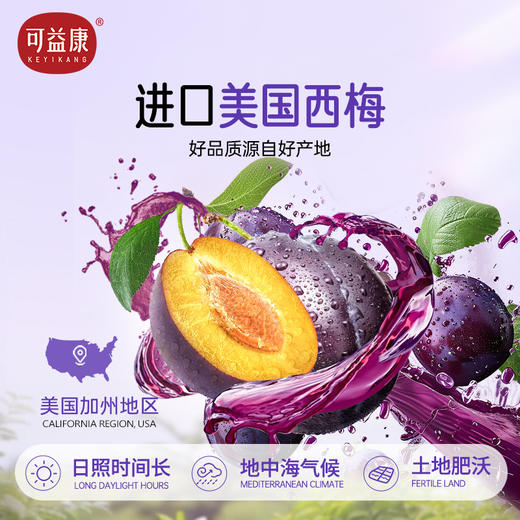 可益康益生元西梅饮品 精选加州西梅 5种益生元 果味浓酸甜爽口 500ml 商品图7