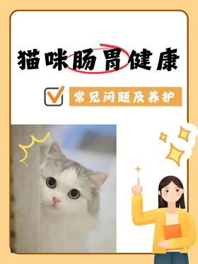 🔥猫咪肠胃健康常见问题及养护