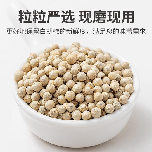 方家铺子 白胡椒粒60g/瓶装 商品图2