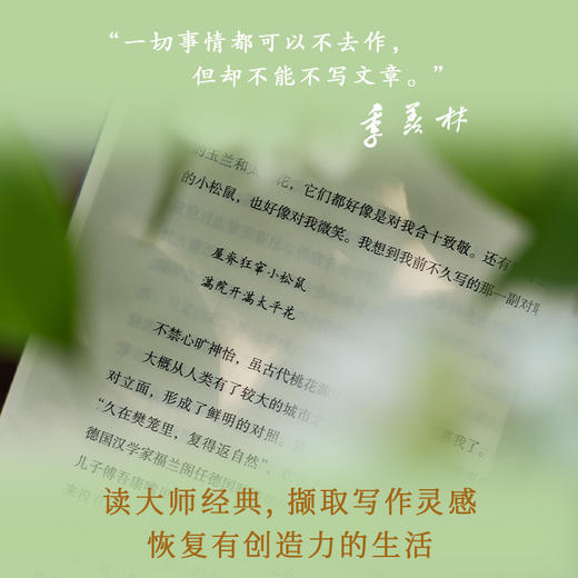 黄昏里充满了木樨花的香：季羡林散文精选 商品图4