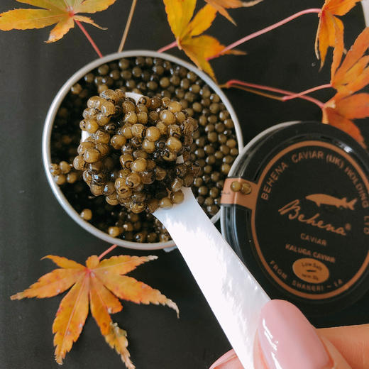 贝赫纳达氏鳇鱼子酱（成熟采卵期15-20年） 商品图3