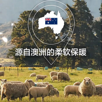 罗莱家纺 羊毛被子 100%澳洲进口羊毛抗菌保暖冬被芯 重约6斤 /床上用品 /被子 /羊毛/驼毛被 商品图2