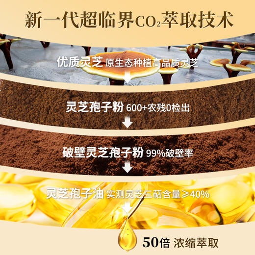 5周年特惠：云景天芝灵芝孢子油软胶囊·超临界萃取·高三萜超40%·浙江大学自研菌种80粒/瓶 商品图5
