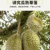 D197冷冻猫山王榴莲果肉（带核）500g/盒 商品缩略图4