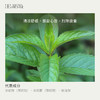 胡椒薄荷精油10ml 商品缩略图1
