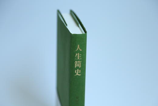 人生简史  章剑华新作，AI无法讲述的人生故事 商品图1