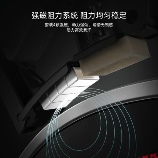 舒华动感单车家用静音磁控调阻室内健身车健身器材B382卫士Lite 商品图4