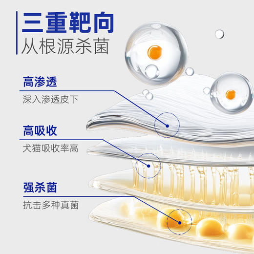 复新微控-复方酮康唑软膏 商品图2