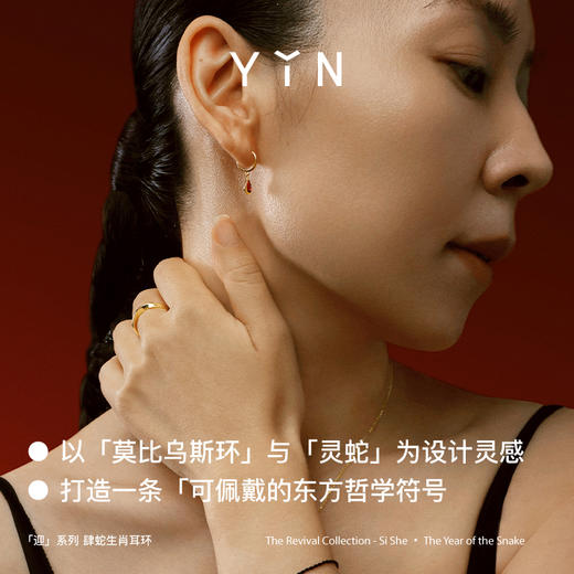 「迎」系列巳蛇肆蛇 蛇年生肖耳环 18K金耳钉耳环 本命年祝福礼物 商品图3