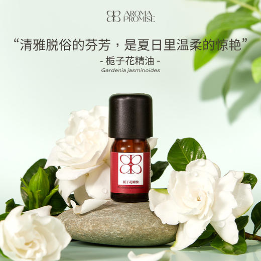 栀子花精油2ml 清幽弥散 平衡油脂调节情绪 商品图0