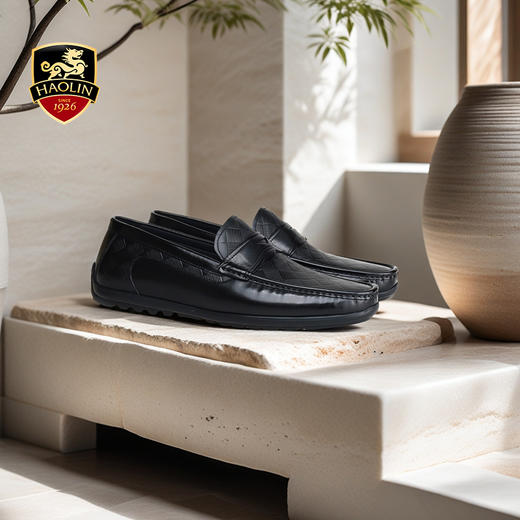 豪麟名鞋迪嘉男鞋商务鞋牛皮革DJWTA51MS004黑色 商品图1