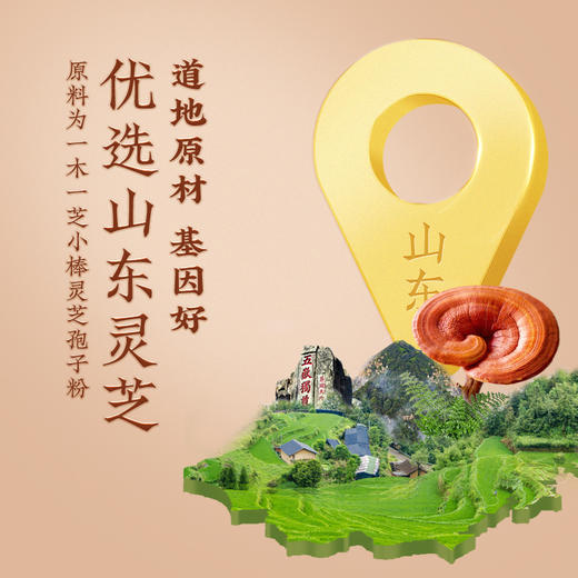 【官方正品】云南白药经销九如健牌破壁灵芝孢子粉胶囊0.35g*60粒高破壁率增强免疫力含灵芝三萜12% 商品图5