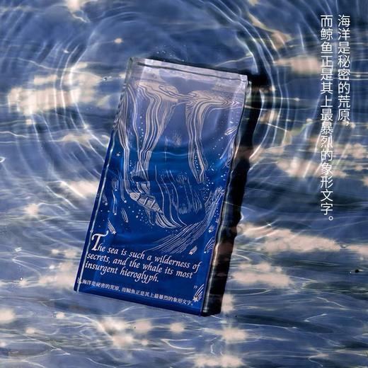 后浪自研文创 白鲸系列决策币 亚克力摆件任选 金属徽章文创礼物 商品图5