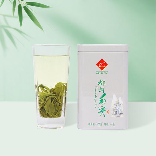 【黔南好物】都匀毛尖都匀茗泉山茶 一级罐装100g/200g 商品图0