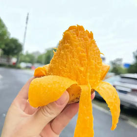 海南小台农芒果新鲜现摘