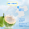 耶气满满香水椰椰子水|不加一滴水，清爽甘甜，好喝无负担 商品缩略图3