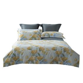 水星家纺 DH朵蔓-S04四件套