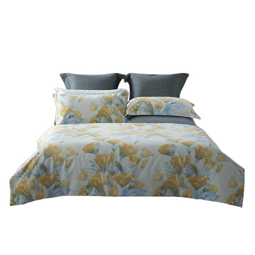 水星家纺 DH朵蔓-S04四件套 商品图0